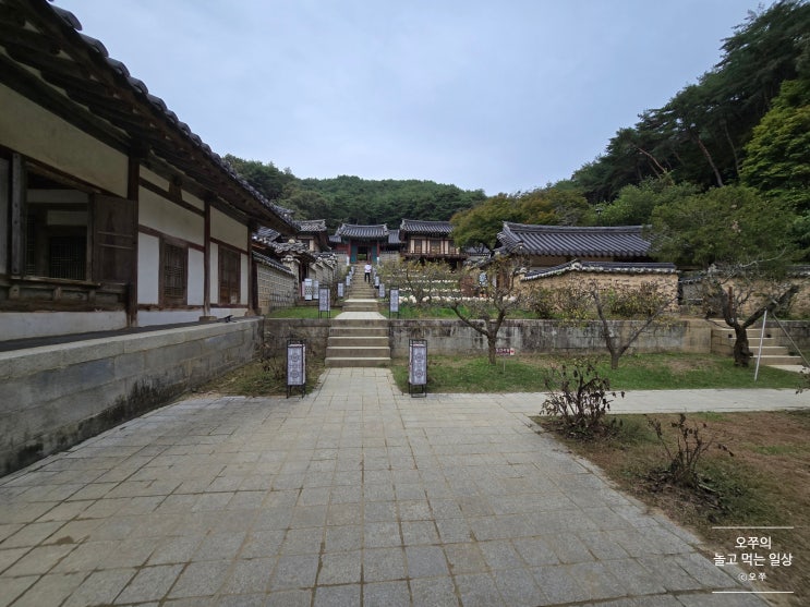  [2025년 가을 2박3일 거창-대구-안동 여행] 셋째 날 일정