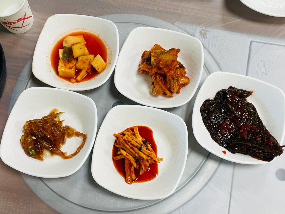 다능이 사진 5