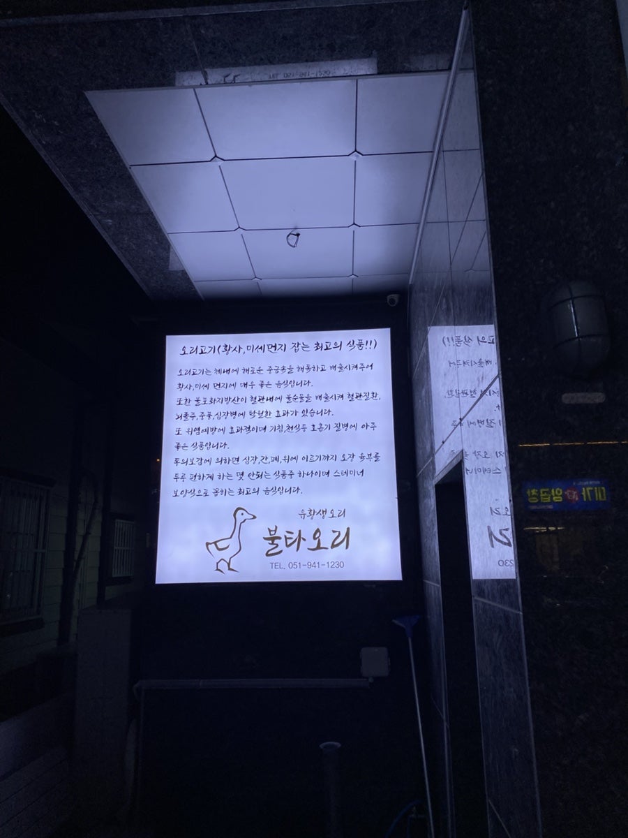 불타오리 사진 4