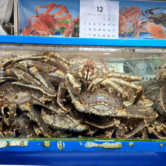  킹크랩 시세 노량진수산시장 가락 차이 공개!