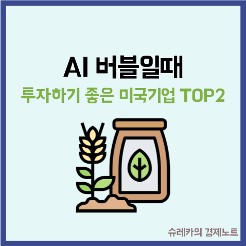  AI버블이라고 생각할 때 투자하기 좋은 미국기업 TOP2