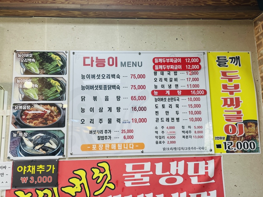다능이 사진 3
