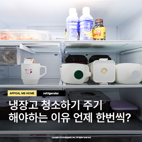  냉장고 내부 청소하기 주기 해야하는 이유 언제 한번씩 하는게 좋을까?