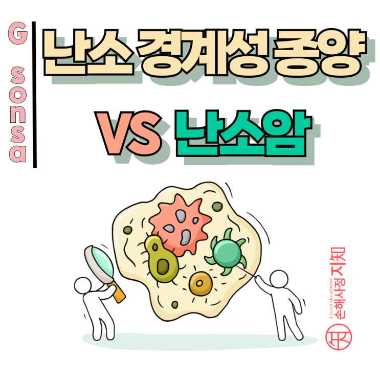  난소경계성 종양 난소암 D39.1인데도 일반암 인정받은 이유