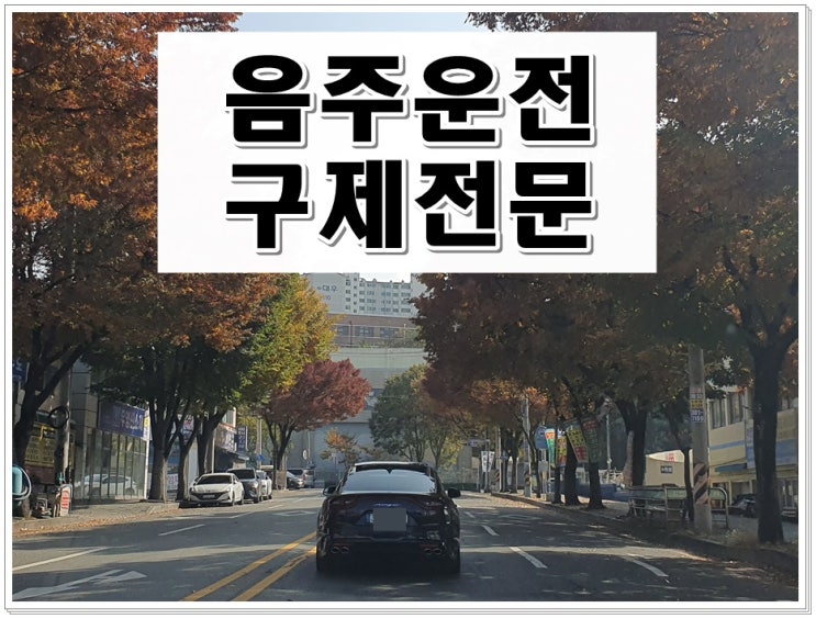  음주운전 초범 반성문 예시와 면허구제 절차 정리
