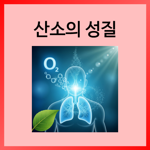  [초등화학]산소의 성질