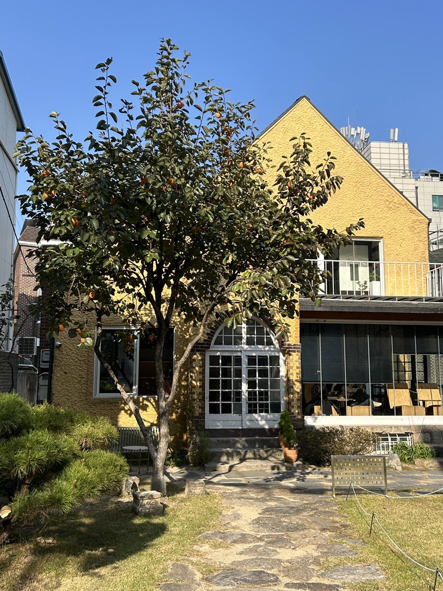 킷테 사진 2
