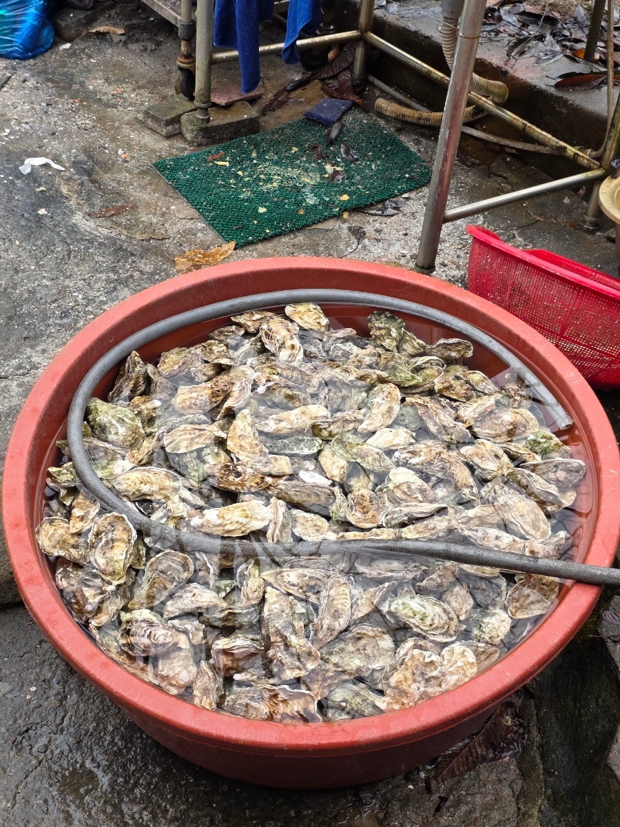 배나무집 사진 7