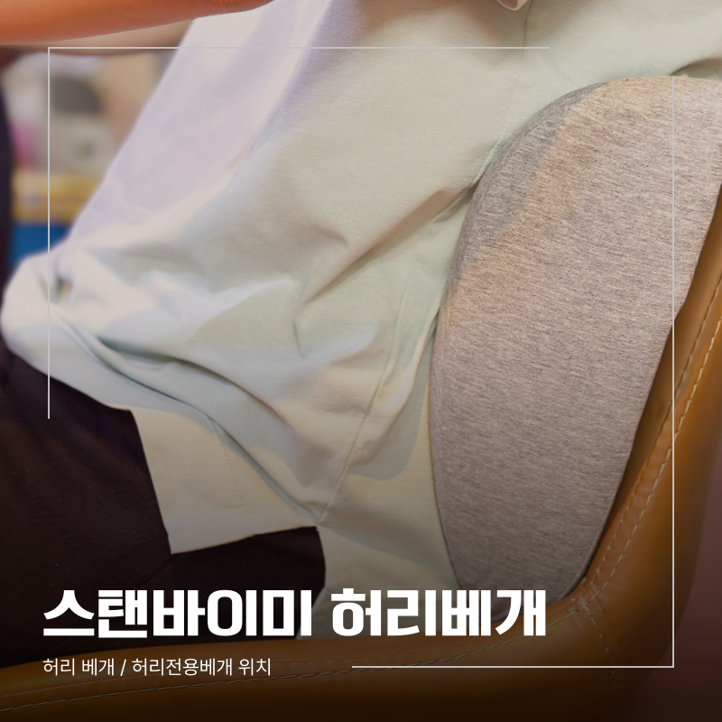 허리 베개, 허리전용베개 위치 잡기 편한 '스탠바이미'