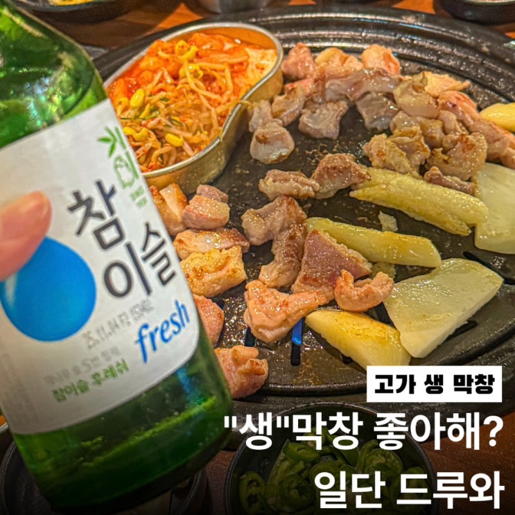  생막창이 뭔지 보여줌... 하늘도시 고가생막창 클라스