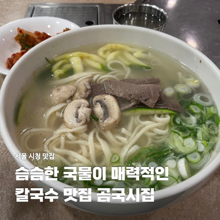 서울 시청역 맛집 곰국시집 점심 혼밥하기 좋은 식당