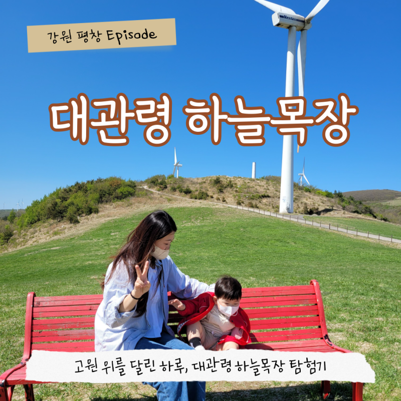 평창 대관령 하늘목장 트랙터 시간 애견동반 아이랑 가볼만한곳