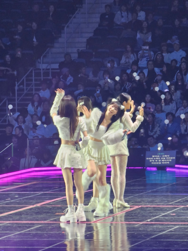 오마이걸 콘서트 VIP 직관 후기