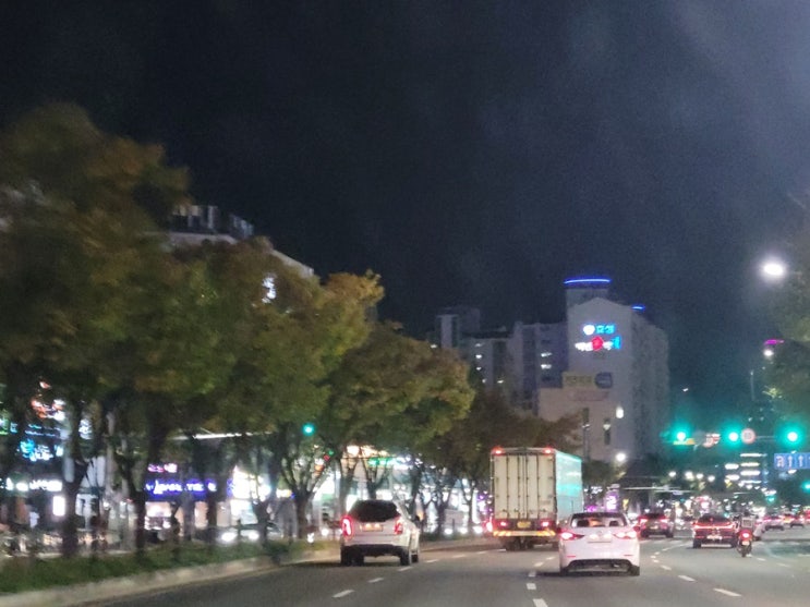  반려식물 입문자를 위한 키우기 쉬운 식물 5가지 추천