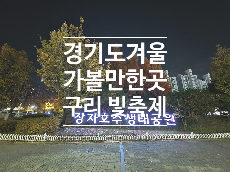  경기도 겨울 축제 사진찍기 좋은 장자호수공원 구리 빛축제