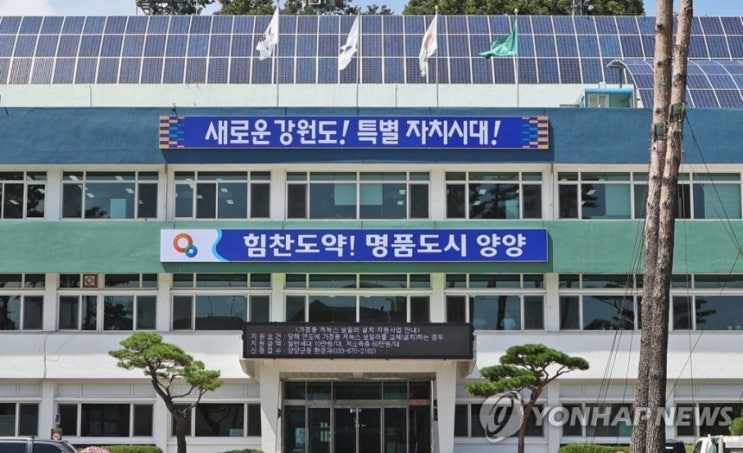 <b>양양</b>군 7급 <b>공무원 갑질 논란</b>, 무관용 원칙 적용 징계 절차... 