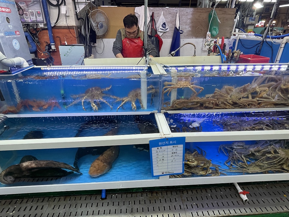 신선회수산식당 사진 5