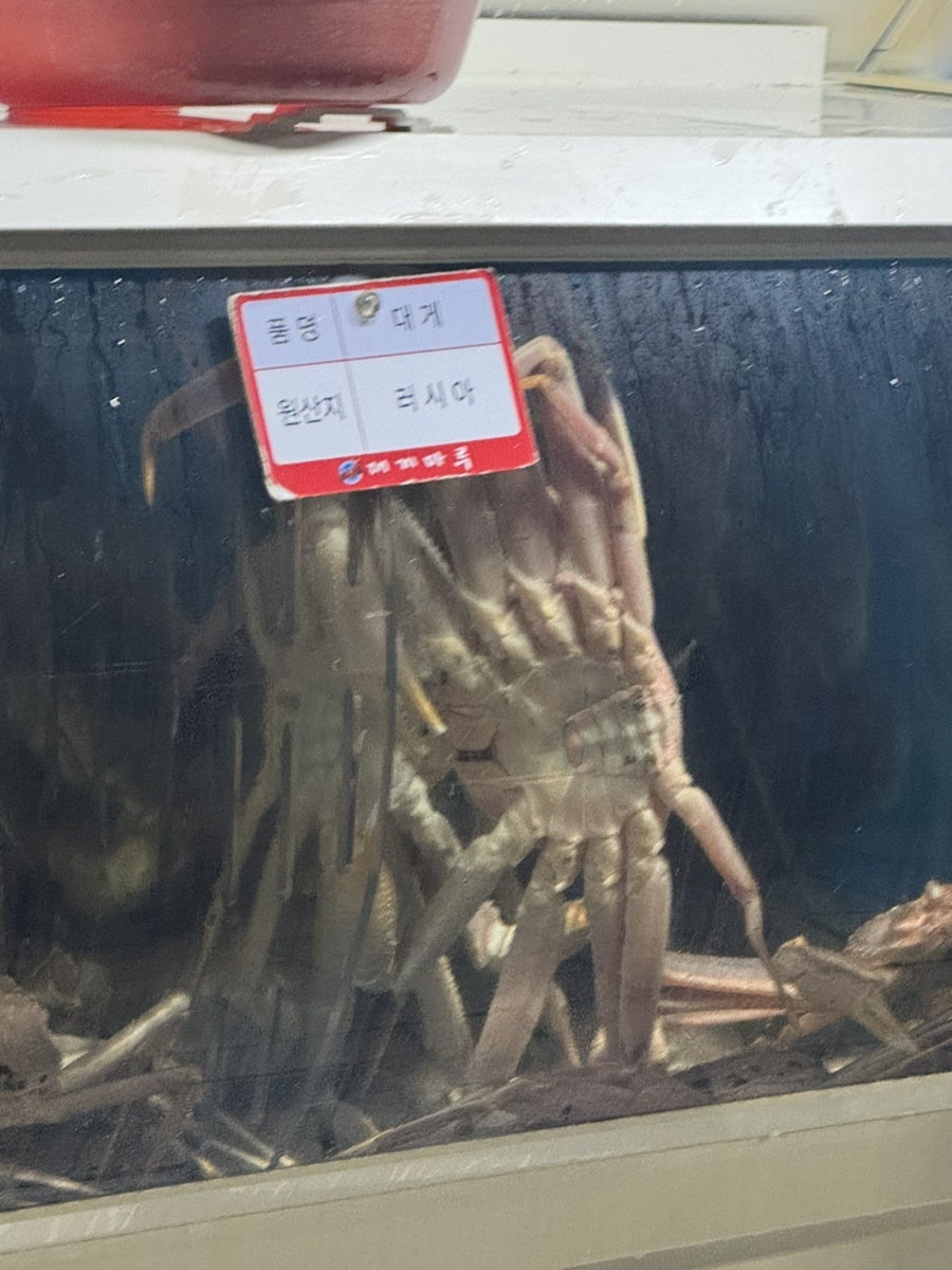 대게마루 화명점 사진 4