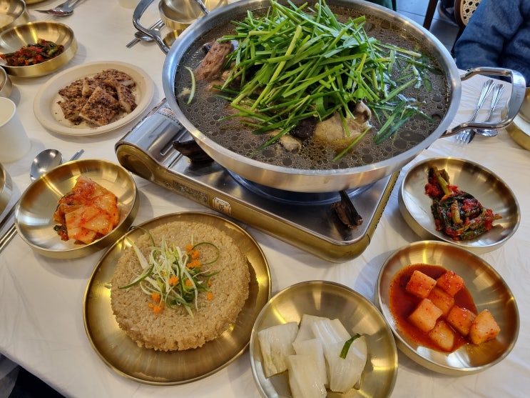  판교 백현동 맛집 평상집 판교점 능이토종닭백숙 아이와 함께