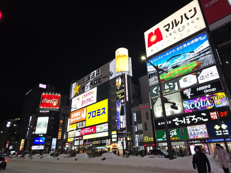  겨울 삿포로 여행 (完) 삿포로 기념품 쇼핑! (돈키호테, 신치토세 공항 면세점)