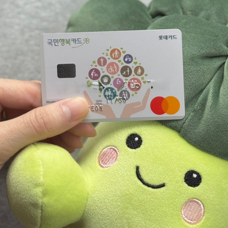 임신바우처 유산시 잔액, 유산 후 재임신 국민행복카드 바우처 재발급 신청 방법 QnA