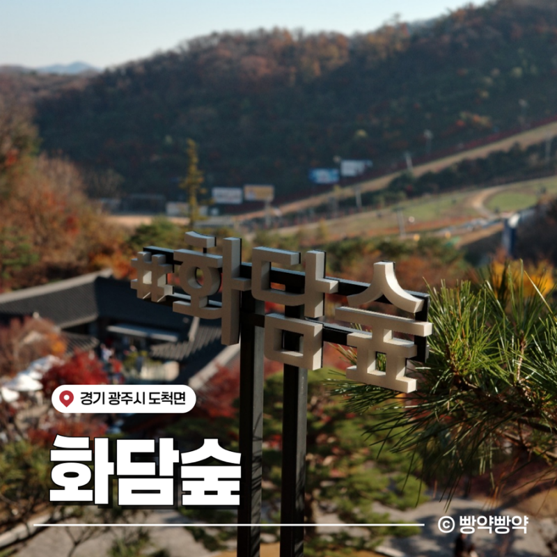 경기도 단풍 핫플 화담숲 | 11월 15일의 기록