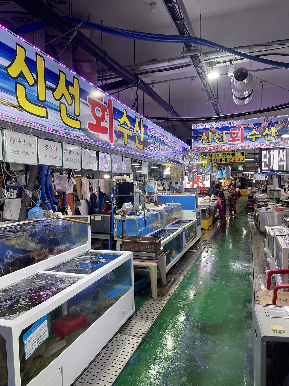 신선회수산식당 사진 2
