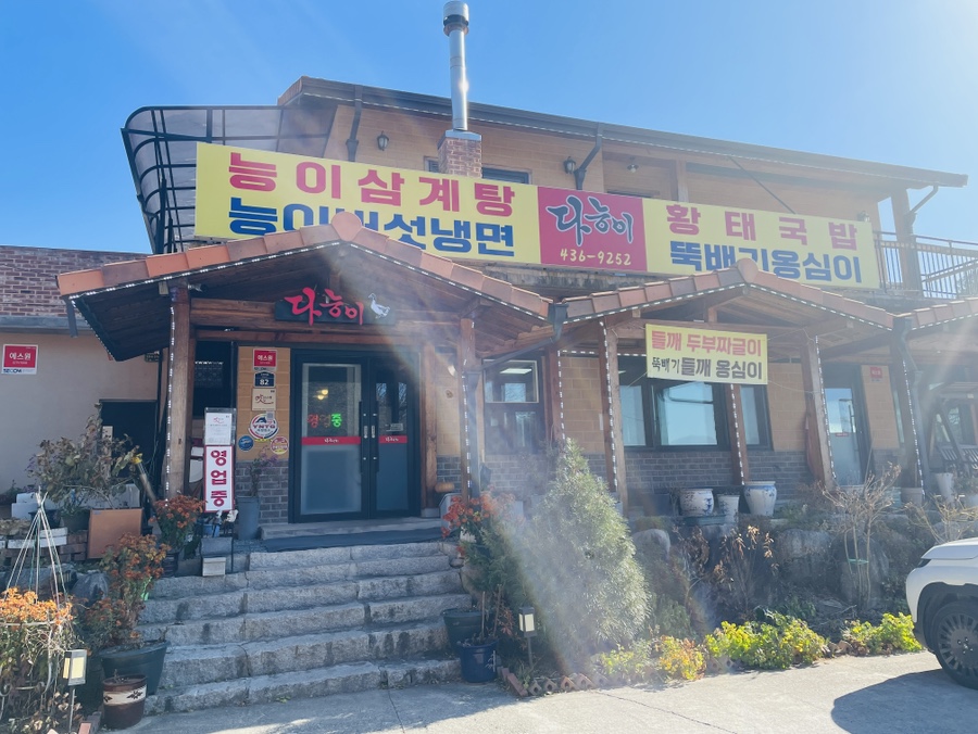 다능이 사진 1