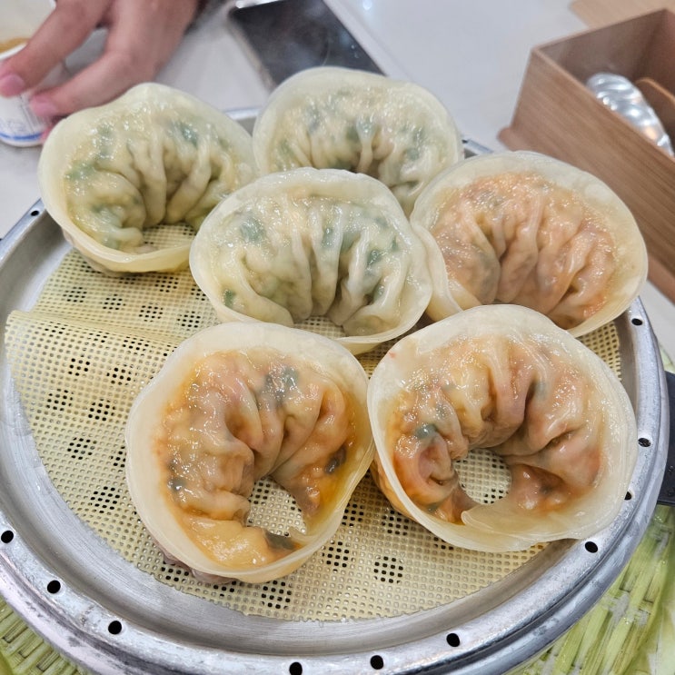  광명역 수제만두 맛집, 텐텐 만두 본점 샤브만두전골 후기