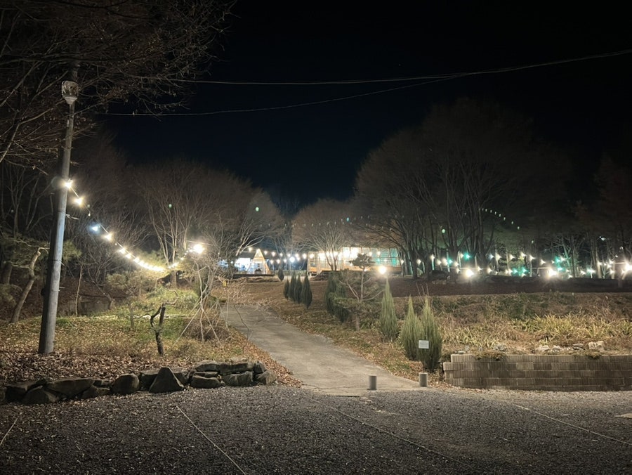 모닥 사진 2
