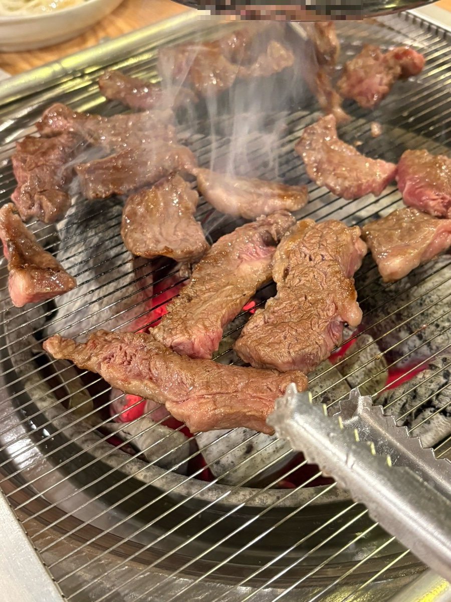 보리소 사진 5