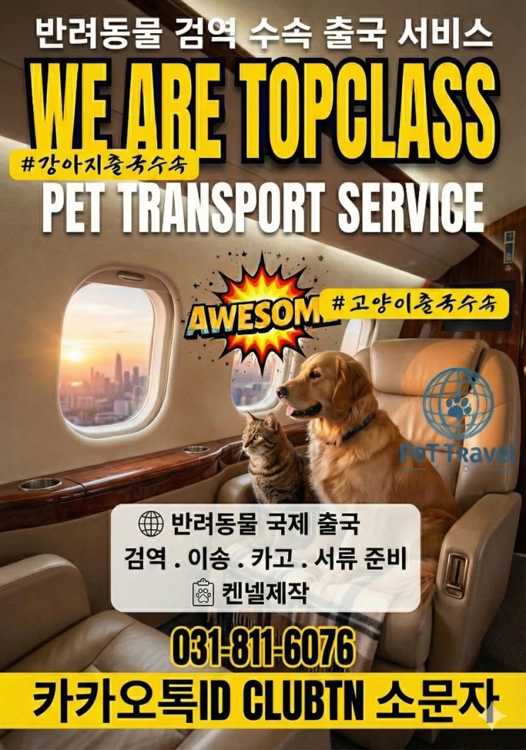  국제 반려동물운송 대형견 맹견 해외 전문 출국 이동장 켄넬 케이지 제작