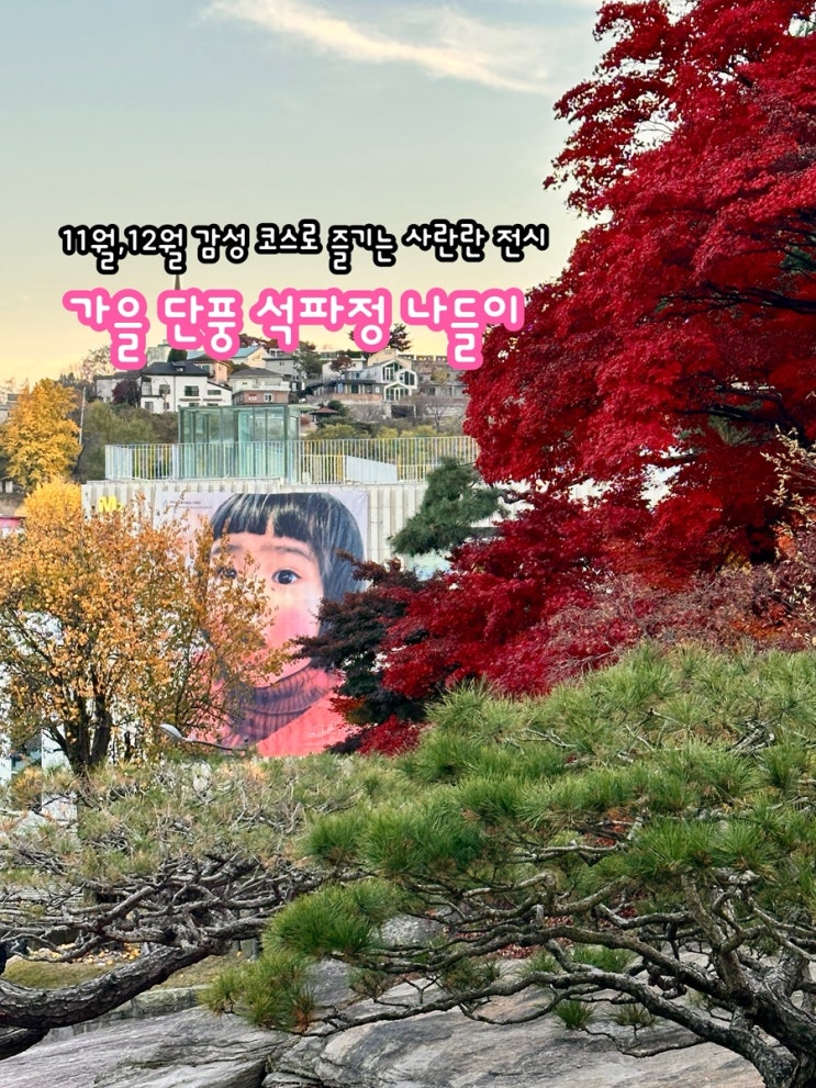  [서울 전시 추천] 11월·12월 감성 코스로 즐기는 사란란 전시 & 가을 단풍 석파정 나들이