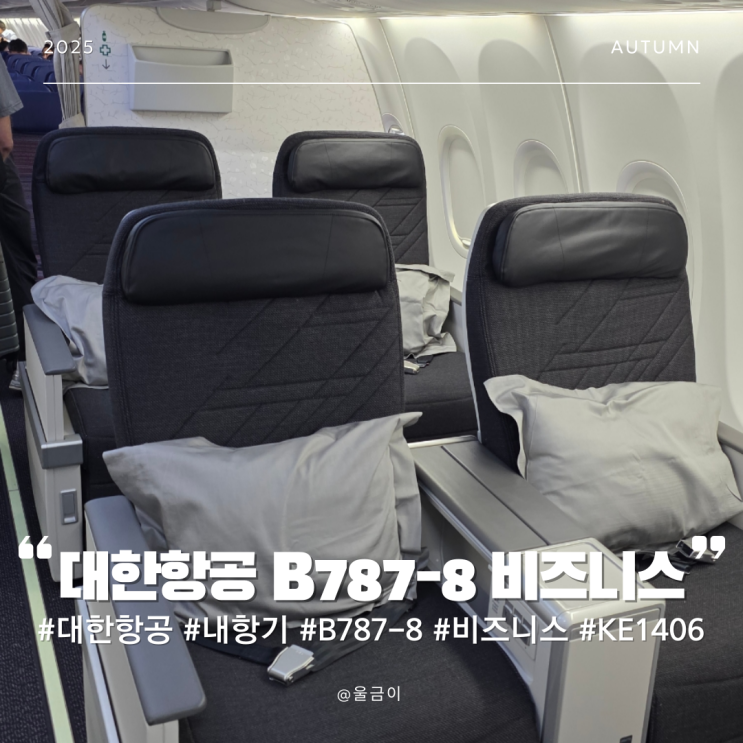  대한항공 KE1406 김해-인천-런던 B737-8 내항기 환승 비즈니스석 이용 후기
