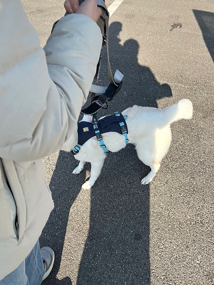 르꼬리카페 사진 2