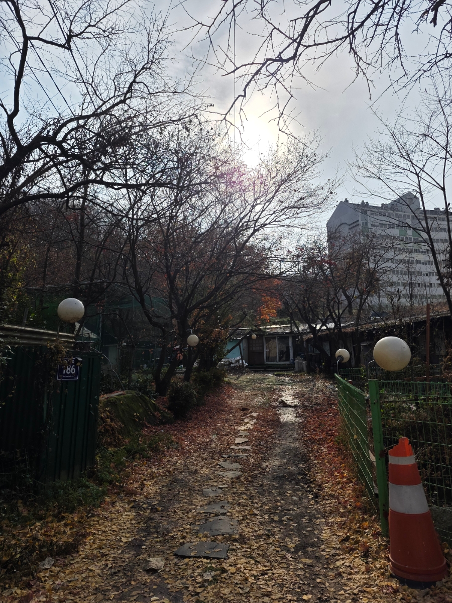 배나무집 사진 4