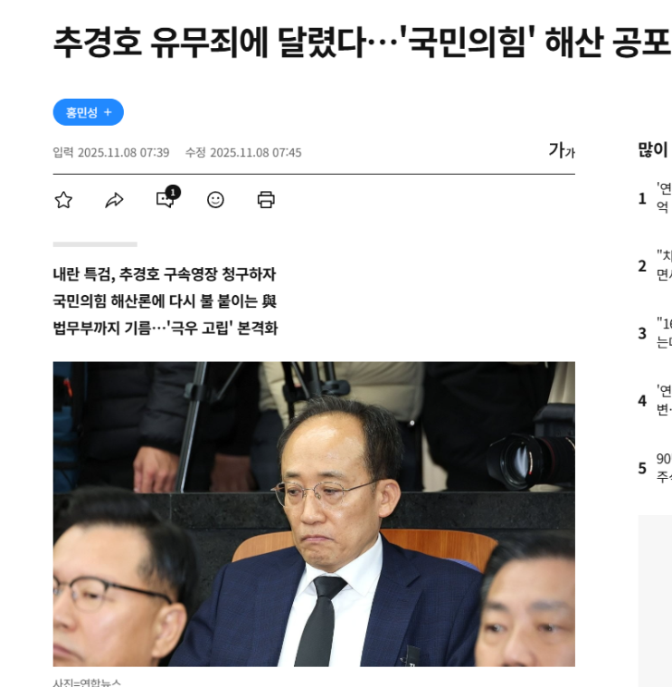<b>추경호 구속</b> 시 국민의힘 정당해산 헌법재판소