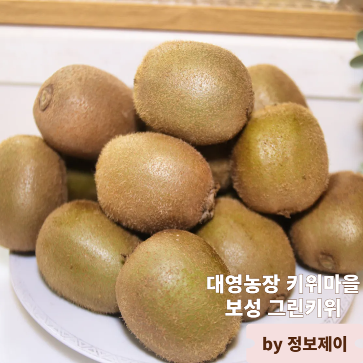  대영농장 키위마을 보성 그린키위 5kg 10kg 대과 농장직송으로 즐기기