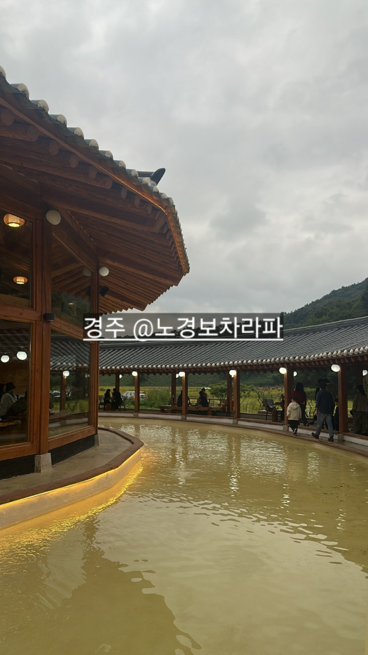  경주 신상카페 노경보차라파 인스타에서 많이 나오는곳