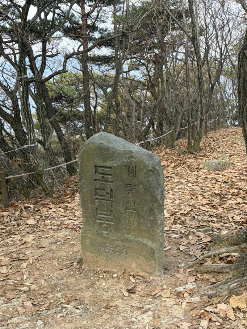 대전 트레일러닝 코스 수통골 도덕봉 빈계산 (+ gpx 파일)