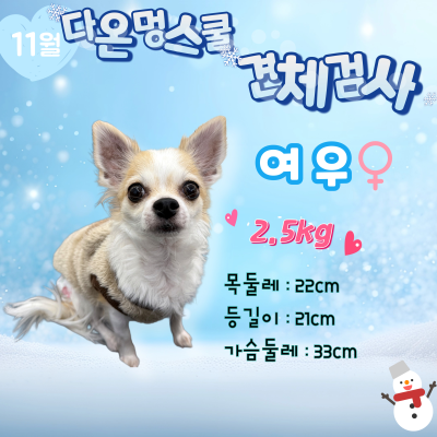 사진 3