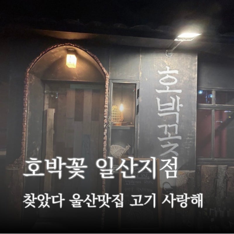 [호박꽃 일산지점] 찾았다 울산 동구 맛집 찾았다 야끼니꾸 맛집