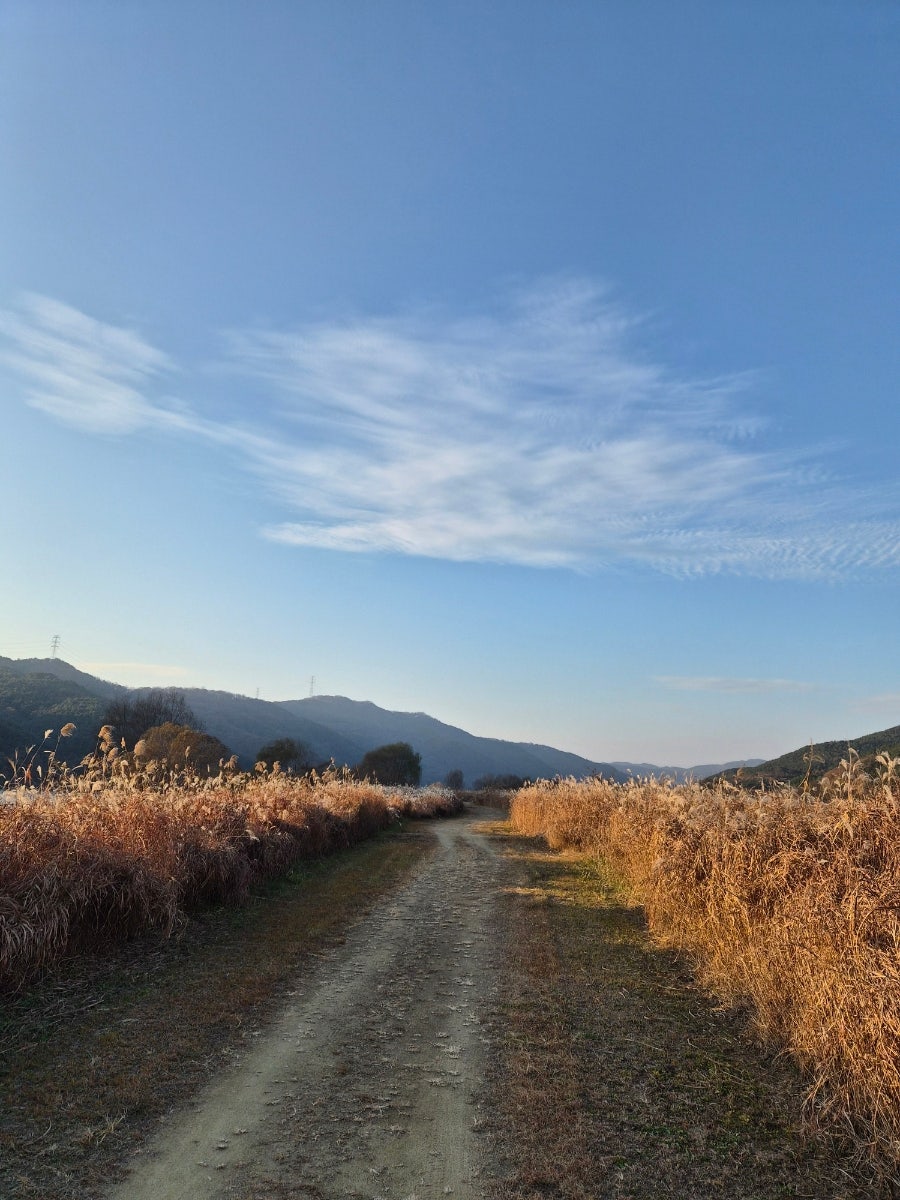 금산곰탕 구지직영점 사진 2