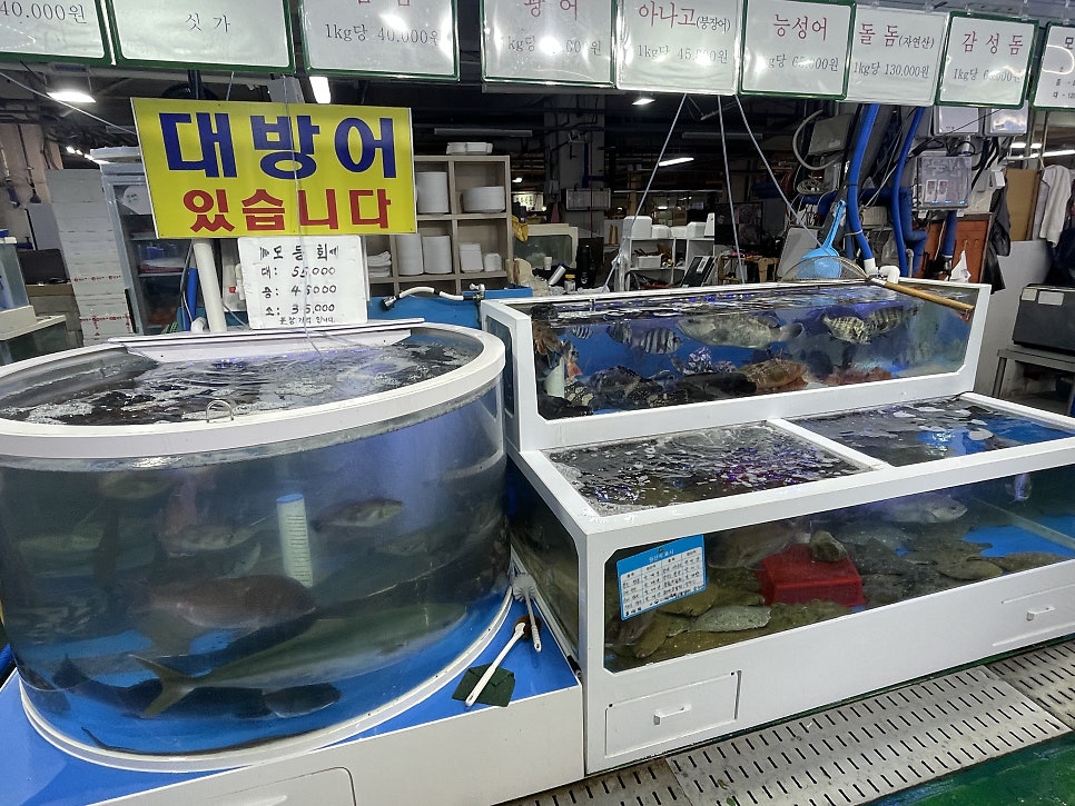 신선회수산식당 사진 4