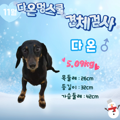 사진 2