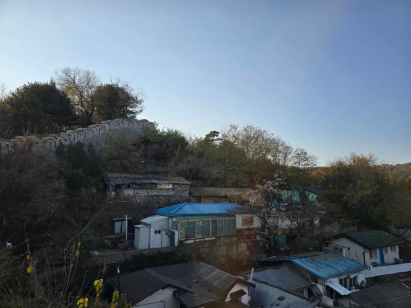 사진 3