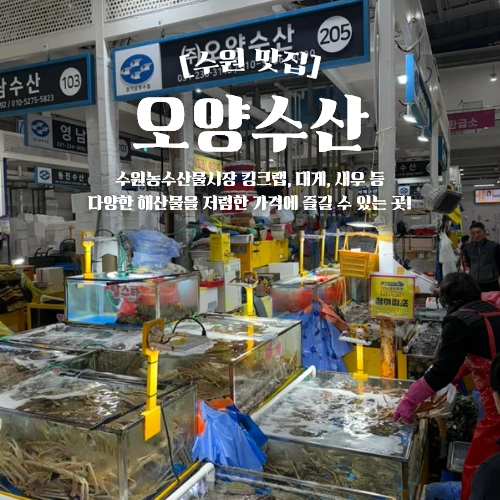  수원농수산물시장 킹크랩 대게 새우 오양수산 추천