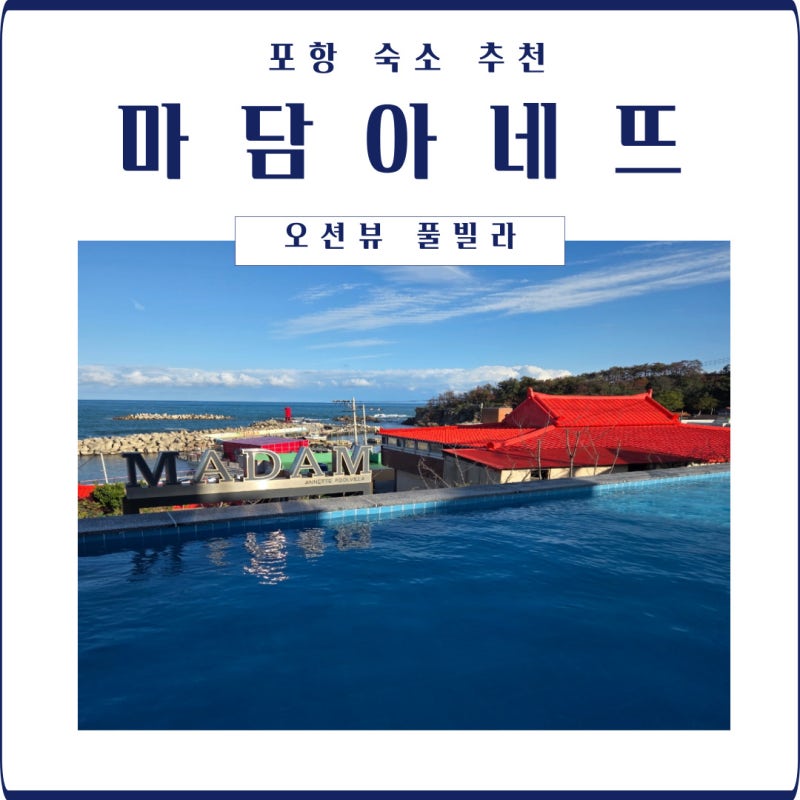 사진 5