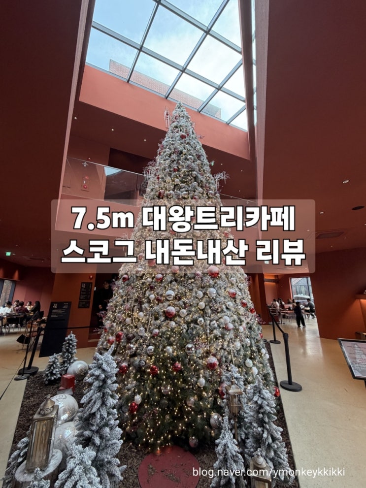  대왕트리가 있는 카페 스코그 내돈내산 방문후기