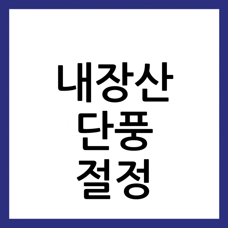 가을빛에 물드는 황홀경, 내장산 단풍축제에 다녀와서